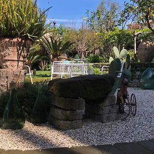 Junior Suite Garden View